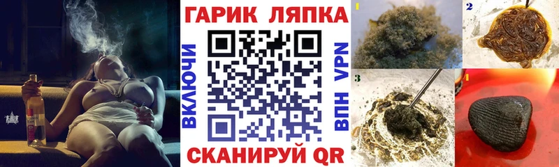 магазин    Кострома  ГАШ VHQ 