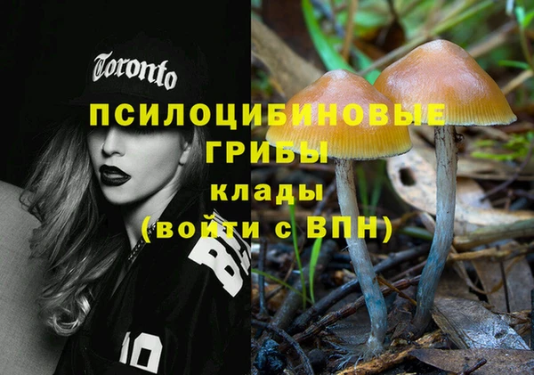 бошки Приозерск