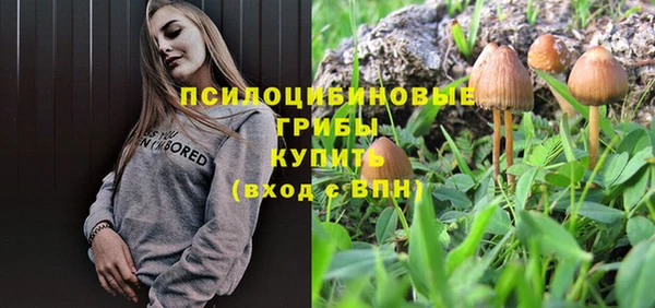 бошки Приозерск