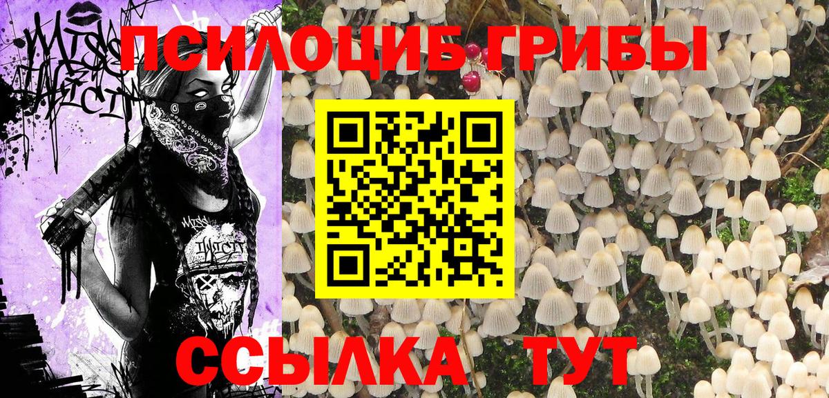 Галлюциногенные грибы прущие грибы Кострома